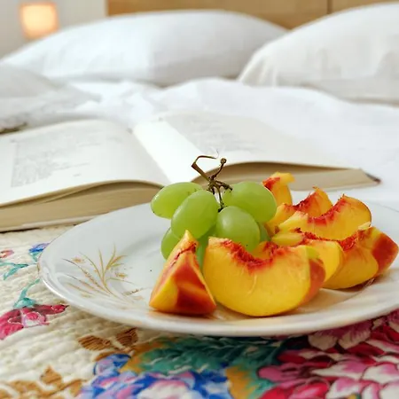 Eliana 公寓 扎达尔